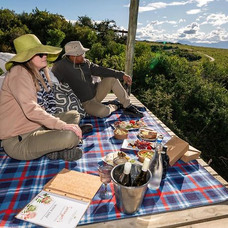 Garden Route Game Lodge Albertinia Extérieur photo