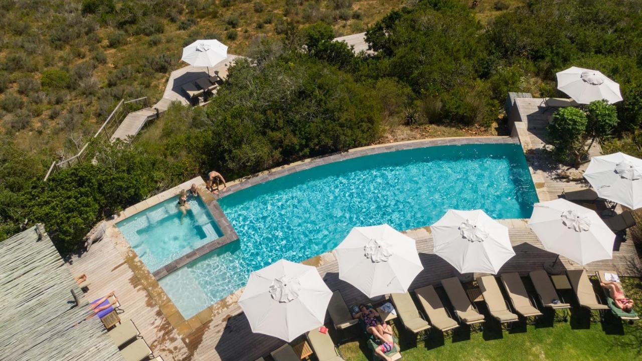 Garden Route Game Lodge Albertinia Extérieur photo