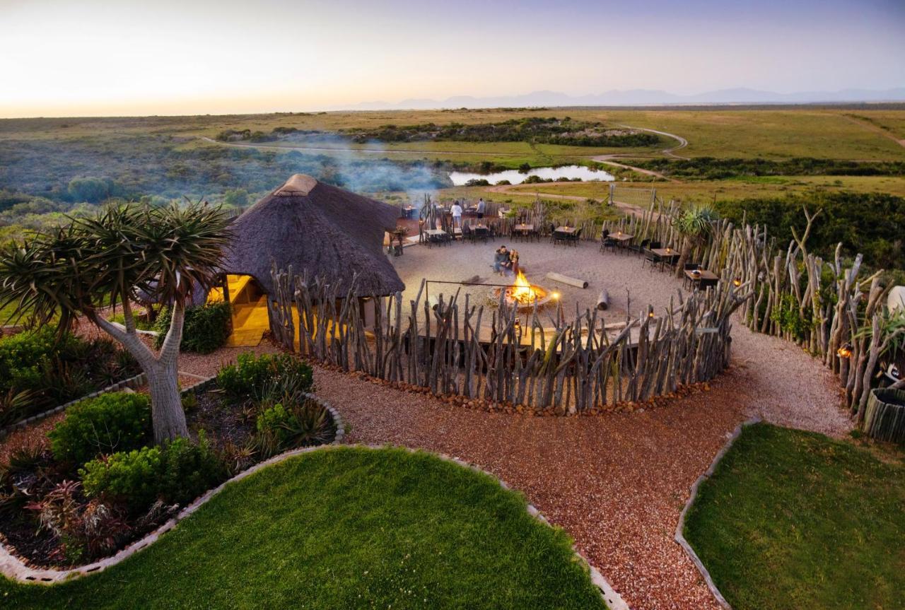 Garden Route Game Lodge Albertinia Extérieur photo
