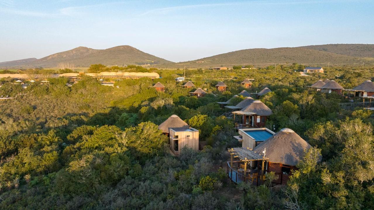 Garden Route Game Lodge Albertinia Extérieur photo