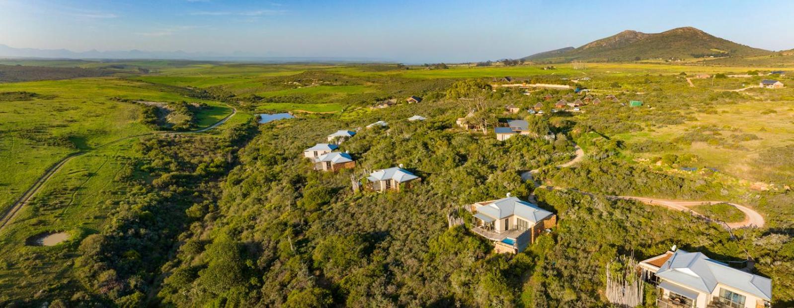 Garden Route Game Lodge Albertinia Extérieur photo
