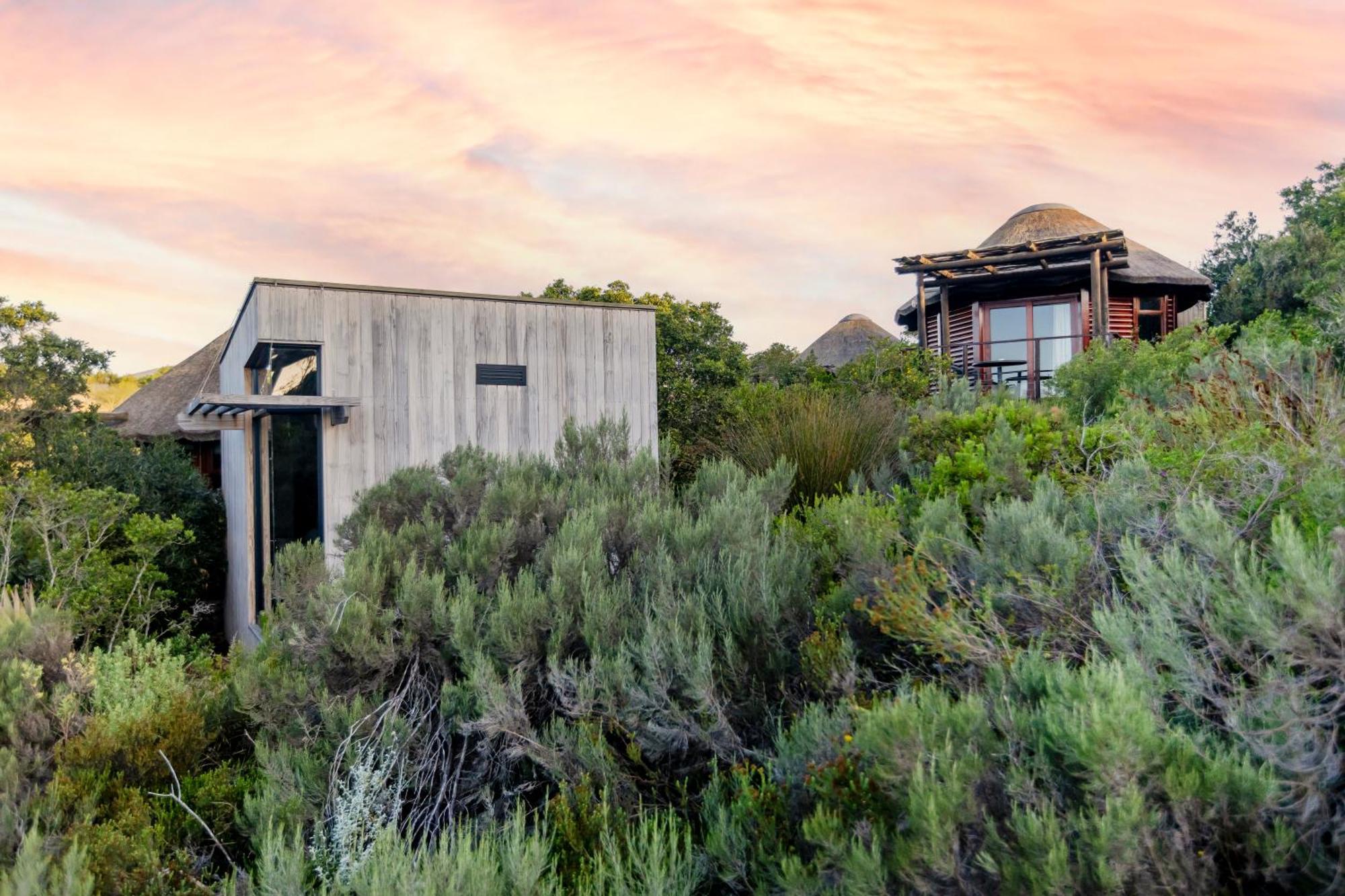Garden Route Game Lodge Albertinia Extérieur photo