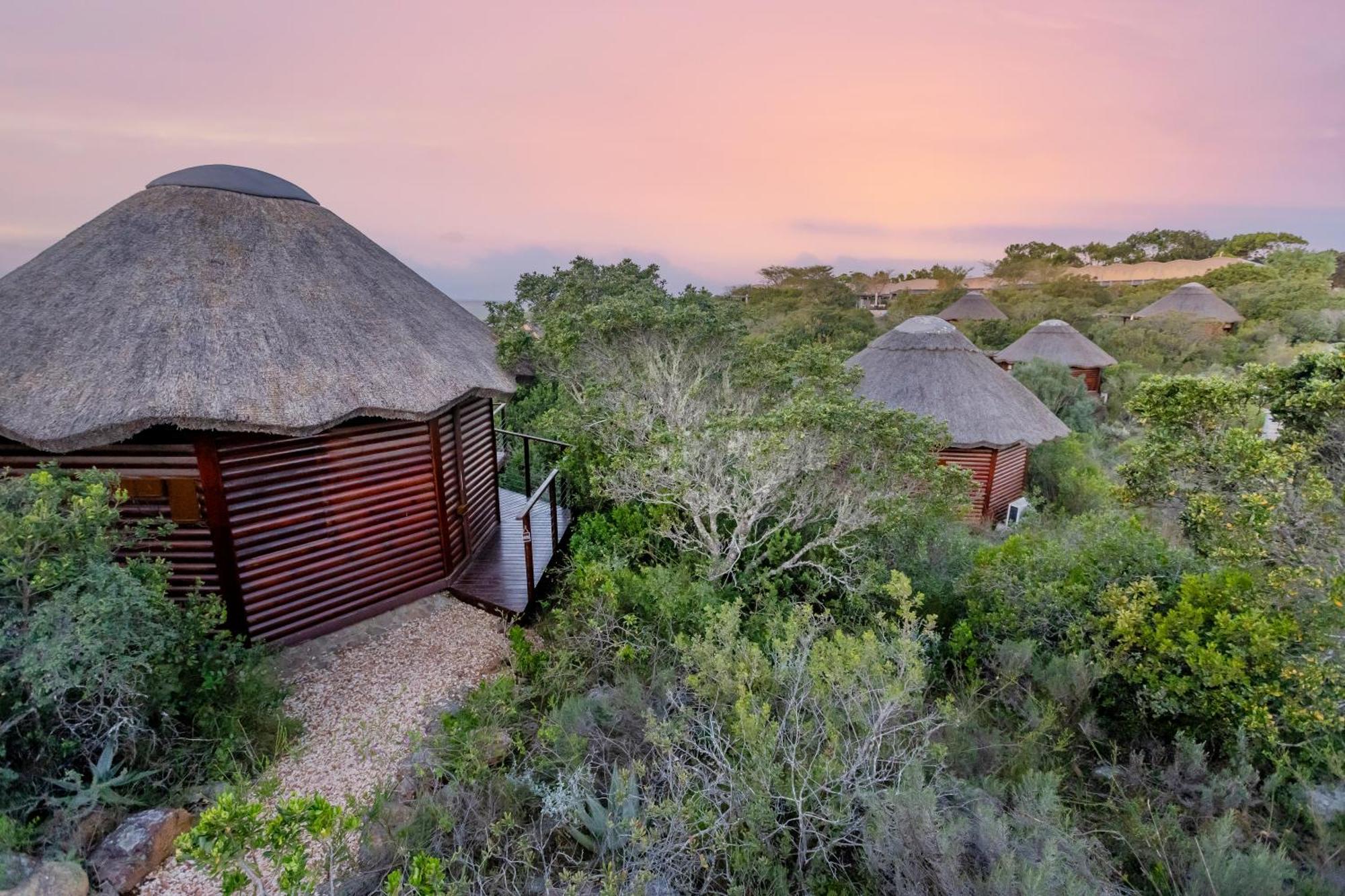 Garden Route Game Lodge Albertinia Extérieur photo
