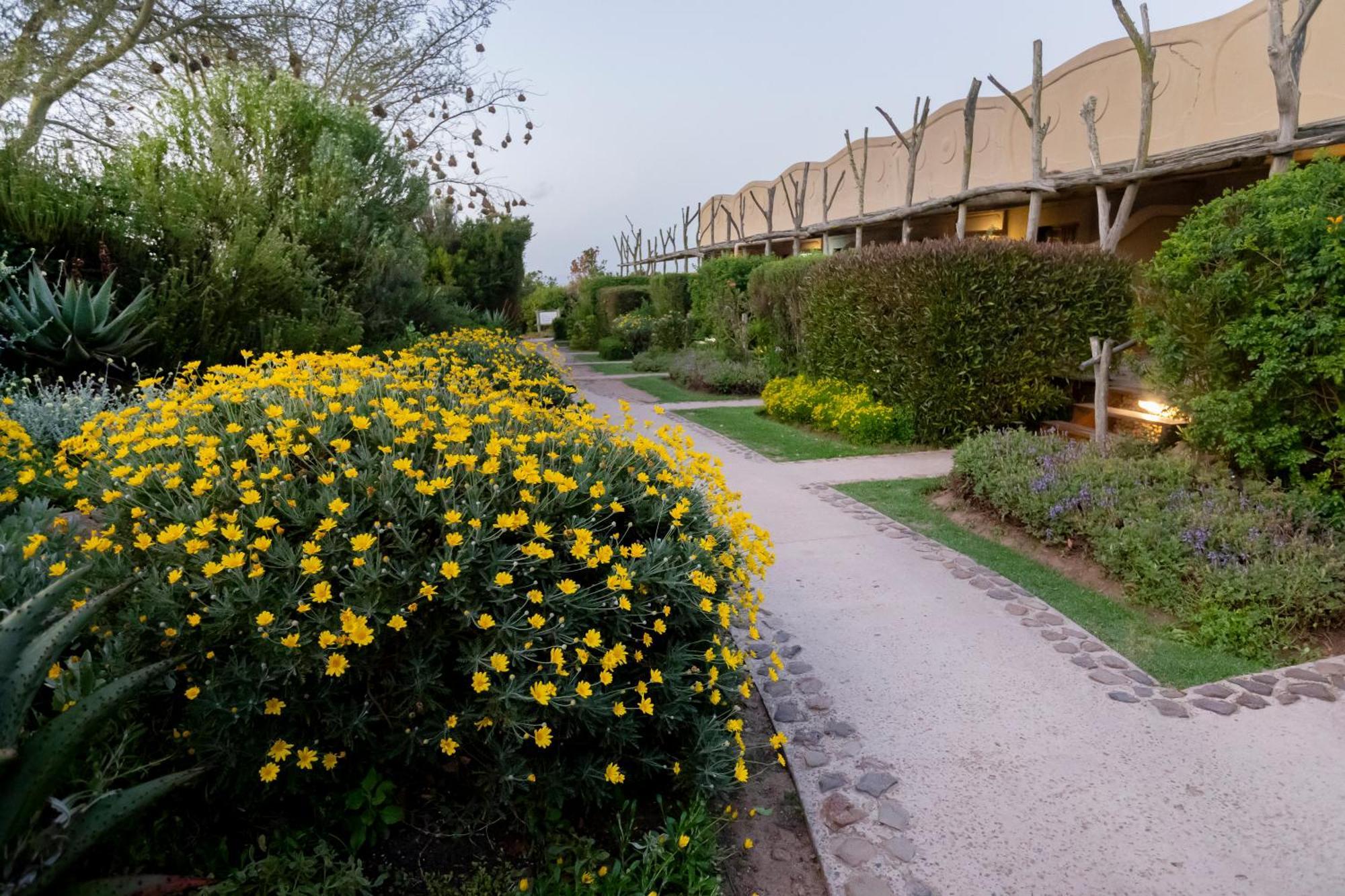 Garden Route Game Lodge Albertinia Extérieur photo