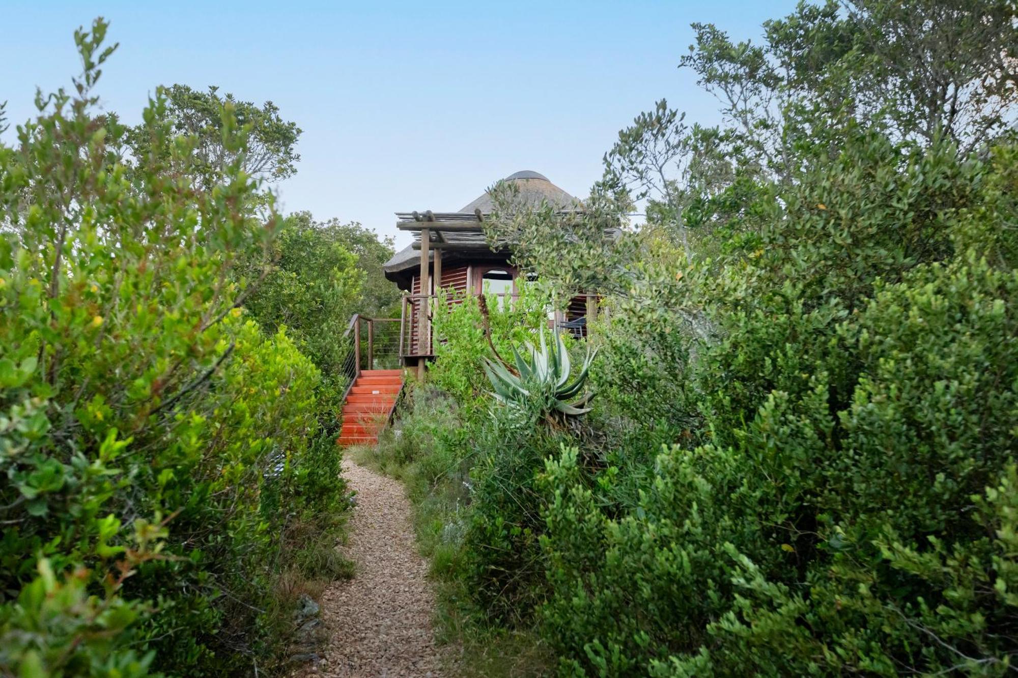 Garden Route Game Lodge Albertinia Extérieur photo