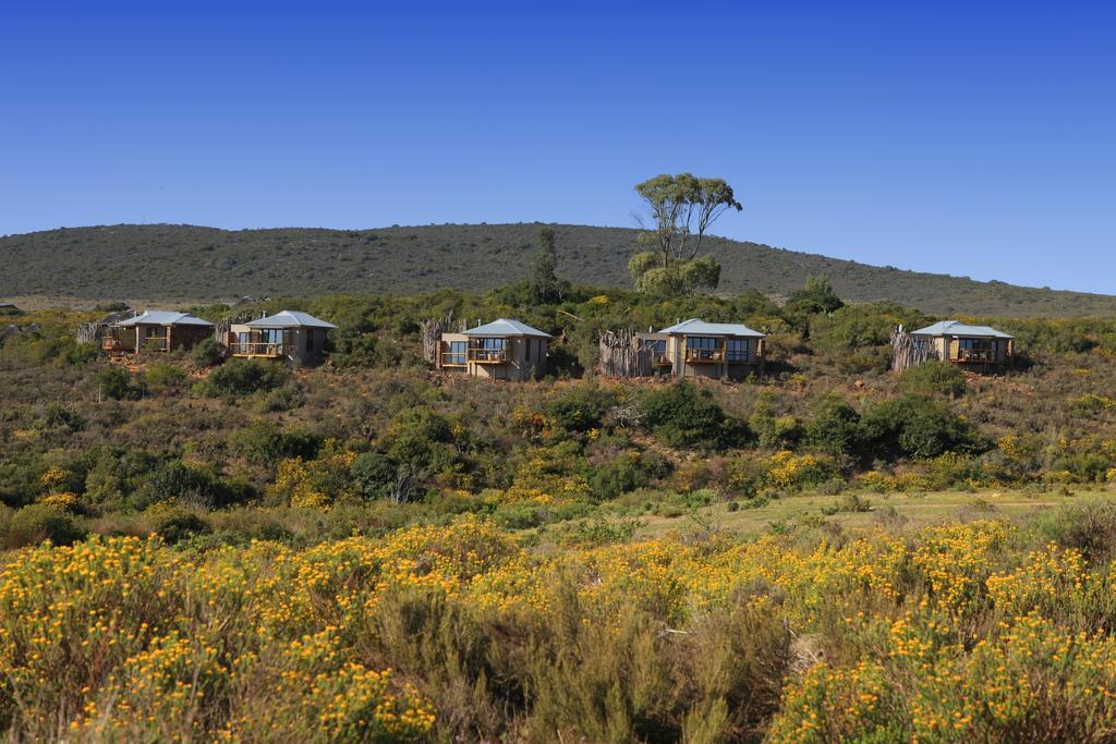 Garden Route Game Lodge Albertinia Extérieur photo
