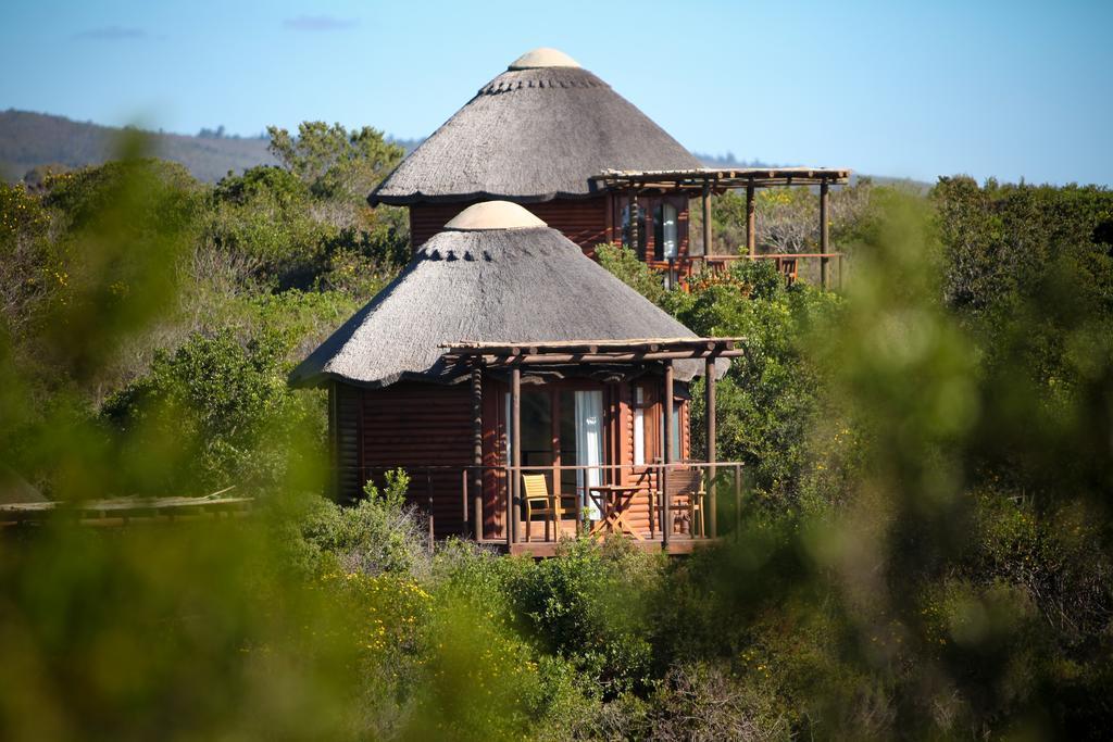 Garden Route Game Lodge Albertinia Extérieur photo