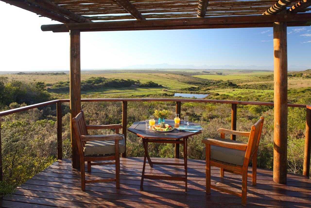 Garden Route Game Lodge Albertinia Extérieur photo