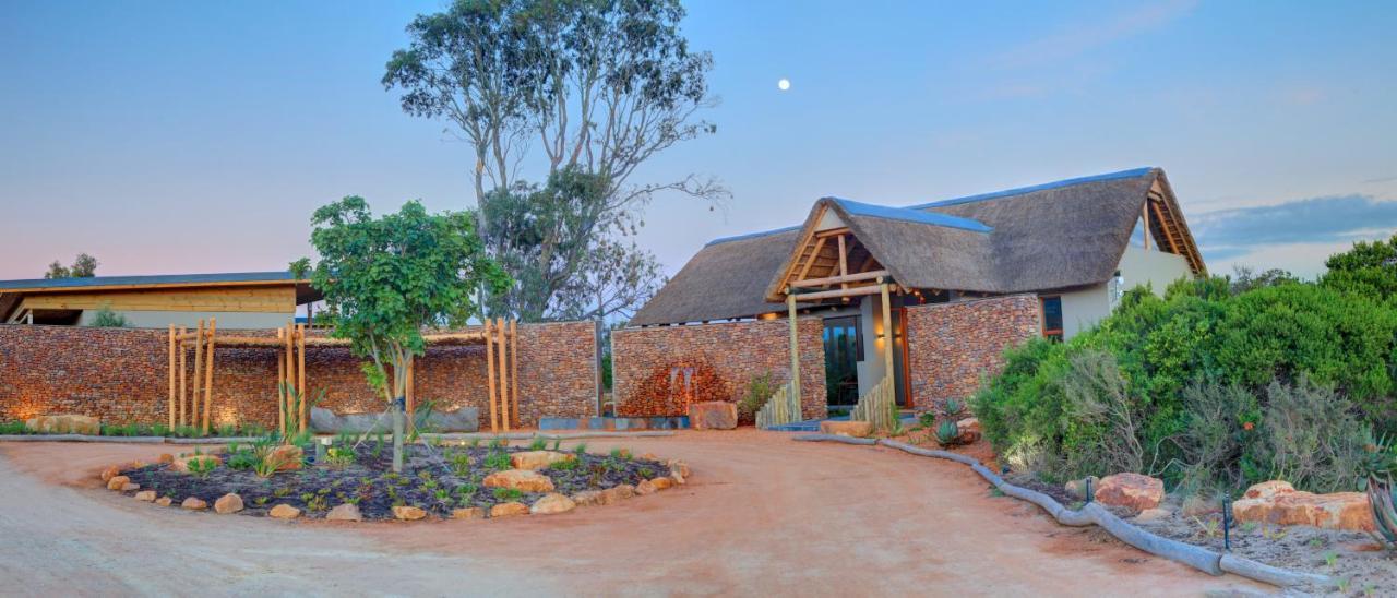 Garden Route Game Lodge Albertinia Extérieur photo